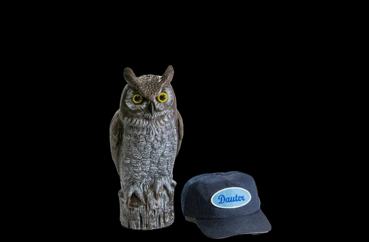 Oval Snap Back