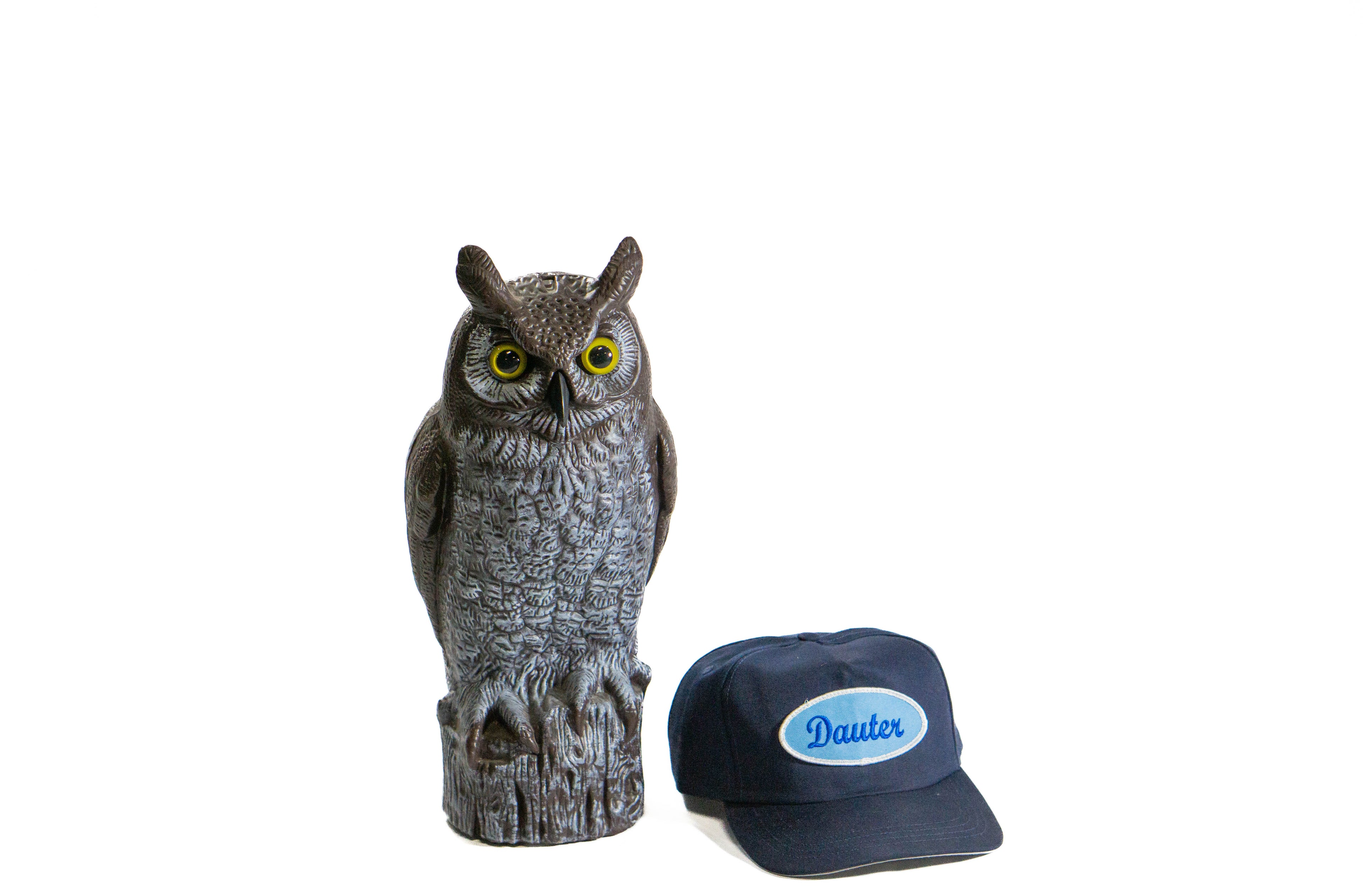 Oval Snap Back